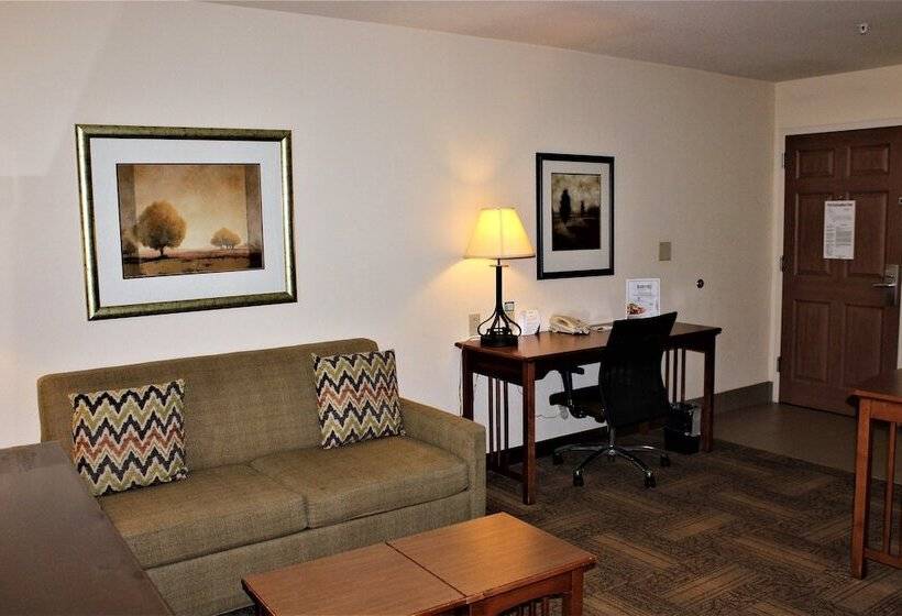 Suíte, Staybridge Suites Houston Willowbrook, An Ihg