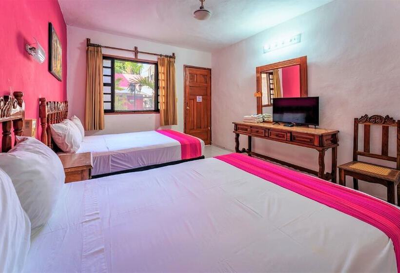 اتاق استاندارد, San Juan Mérida