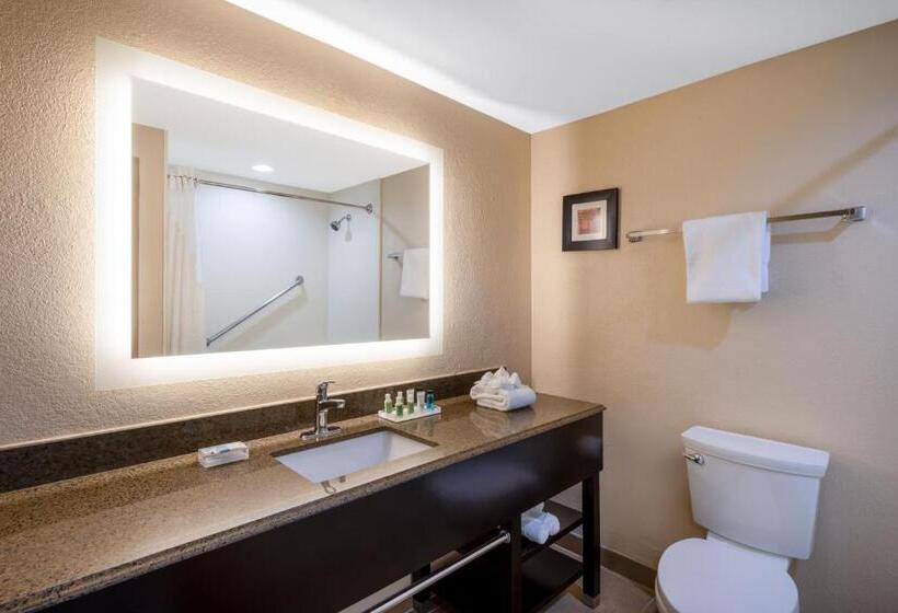 Люкс 2 Спальни, Holiday Inn Poughkeepsie, An Ihg