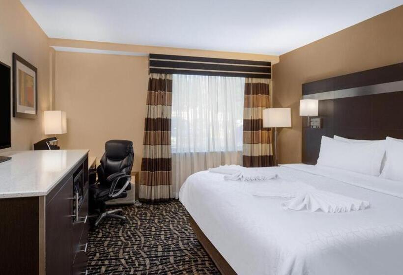 Номер Стандарт Кровать Кинг Адаптированный для Инвалидов, Holiday Inn Poughkeepsie, An Ihg