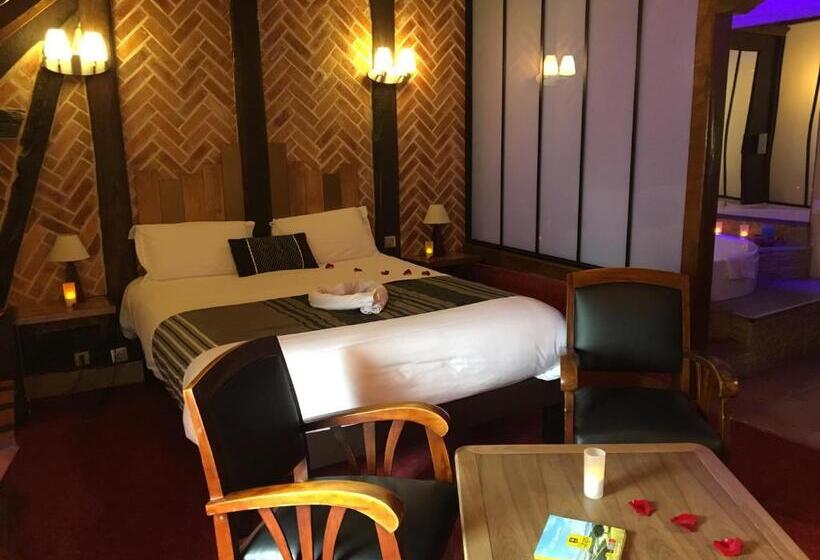Номер Superior со СПА доступом, Logis Hotel Oasis