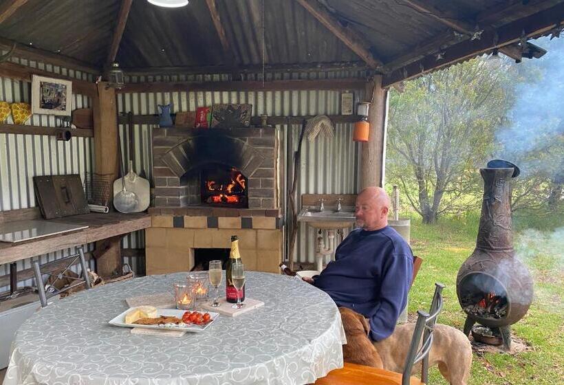Номер Стандарт, Ionaforest Yurt