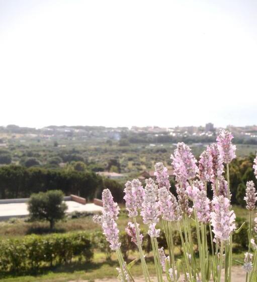 سوییت لوکس, Agriturismo Suite Del Conte