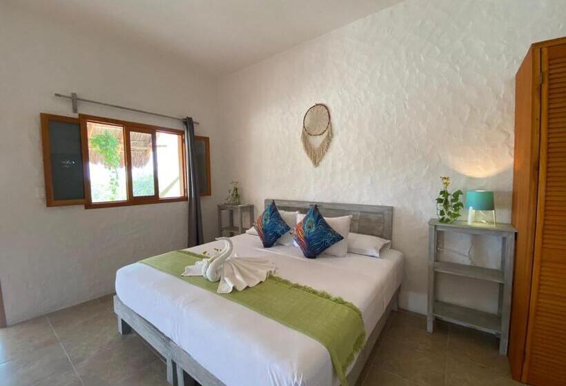 استودیوی استاندارد, Lunada Holbox