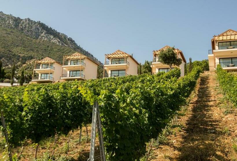 带海景的标准房, Gillham Vineyard