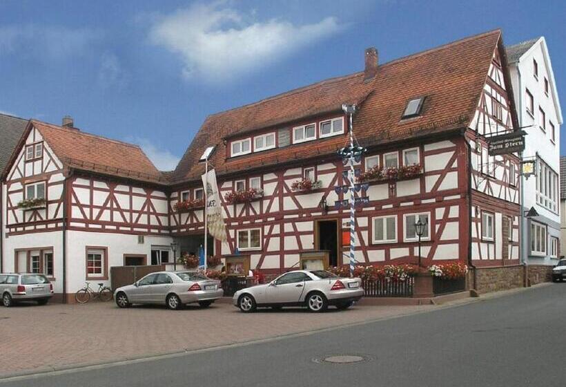 Номер Стандарт, Gasthof Landhotel Metzgerei Zum Stern