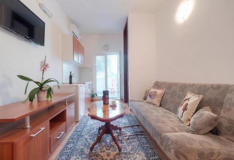 آپارتمان 1 خوابه با تراس, Mediterranean Guest House Balkan