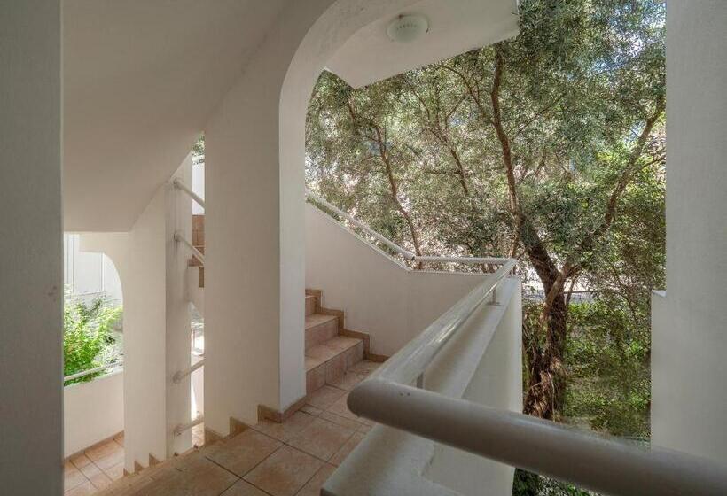 اتاق راحتی سه تخته, Mediterranean Guest House Balkan