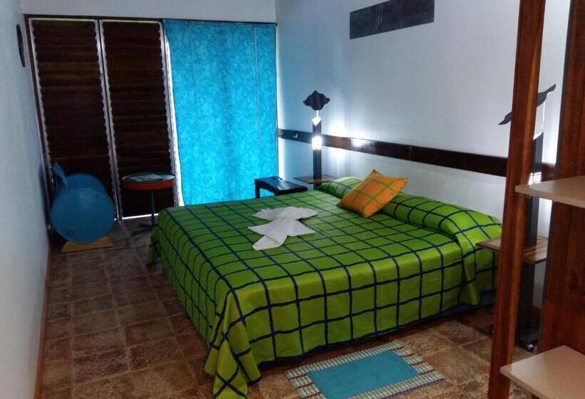 标准单人间, Hotel Celeste Mountain Lodge