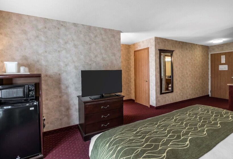 스위트, Comfort Inn & Suites