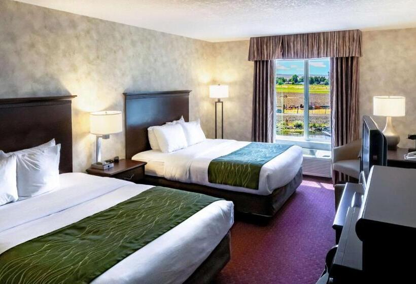 סוויטה, Comfort Inn & Suites