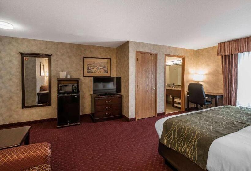 장애인을 위한 스위트, Comfort Inn & Suites