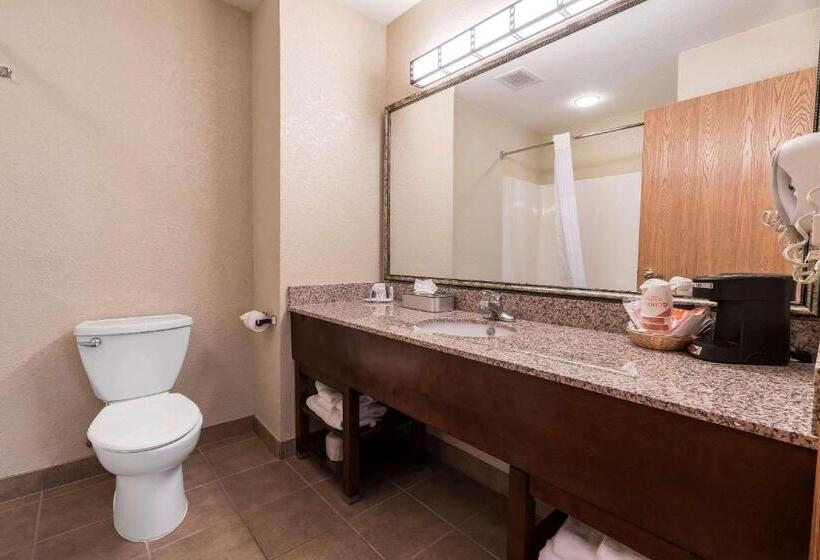 장애인을 위한 스탠다드 룸, Comfort Inn & Suites