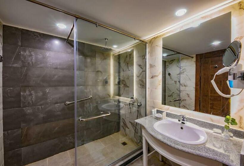 اتاق استاندارد با چشم‌انداز استخر, Titanic Resort & Aqua Park