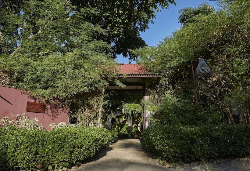 اتاق لوکس, Natural Wing Health Spa & Resort