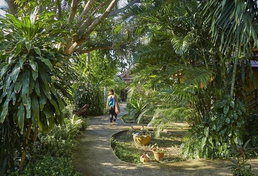 اتاق لوکس, Natural Wing Health Spa & Resort