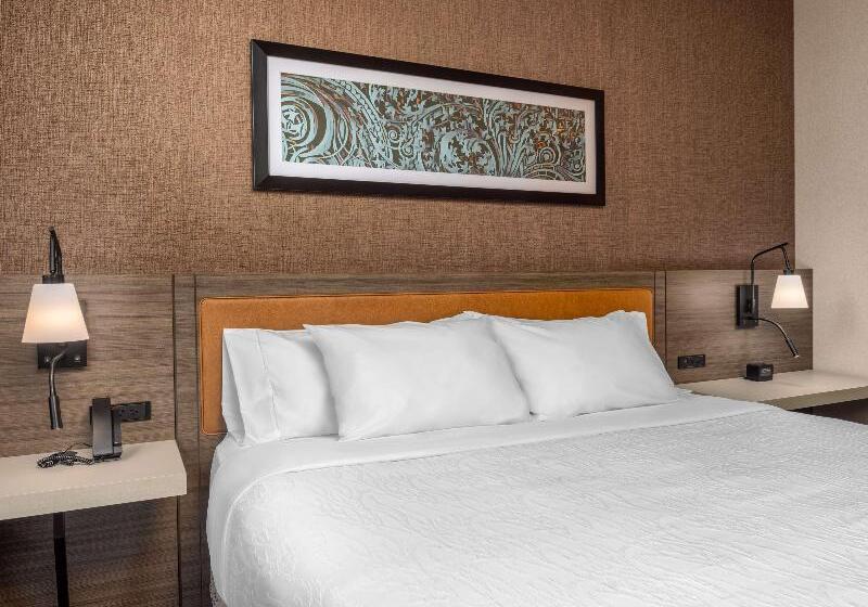 Standard Szoba King Size Bed, Hilton Garden Inn Chicago Central Loop