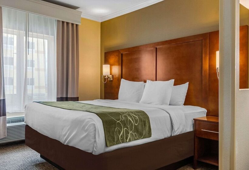 スイート, Comfort Suites Central
