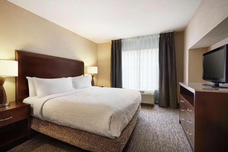 Júnior Suíte Cama King, Hilton Garden Inn Atlanta Downtown