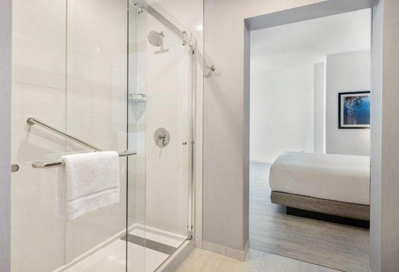 带大床的套房, Hyatt Place West Palm Beach
