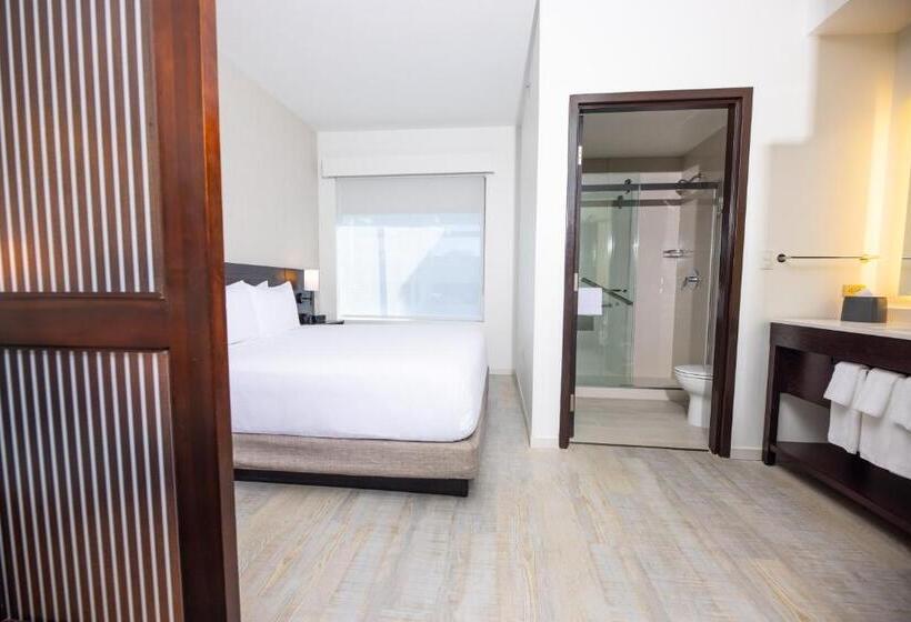 带大床的标准间, Hyatt Place West Palm Beach