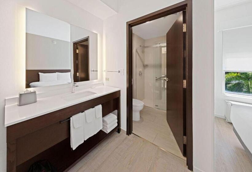 带2个双人床的标准工作室, Hyatt Place West Palm Beach