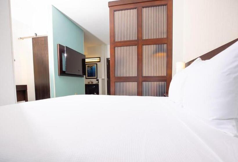 适合残疾人使用的标准间, Hyatt Place West Palm Beach