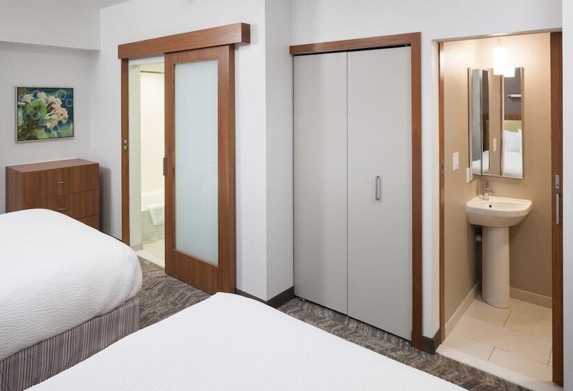 استودیوی استاندارد, Springhill Suites By Marriott Orlando At Seaworld
