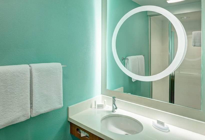 استودیوی استاندارد, Springhill Suites By Marriott Orlando At Seaworld