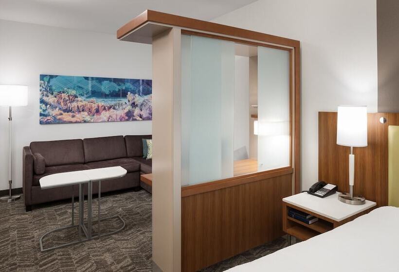 استودیوی استاندارد, Springhill Suites By Marriott Orlando At Seaworld