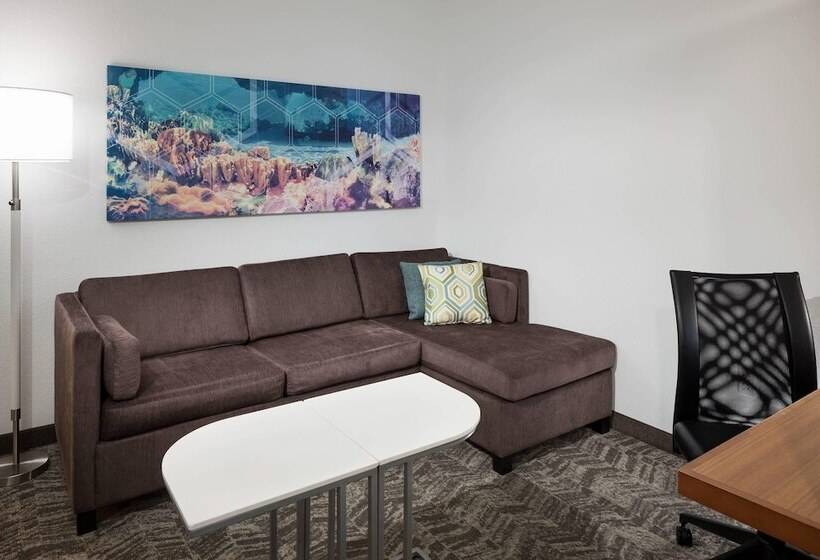 استودیوی استاندارد, Springhill Suites By Marriott Orlando At Seaworld