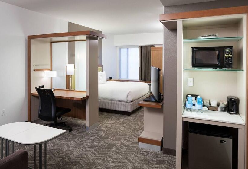 استودیوی استاندارد, Springhill Suites By Marriott Orlando At Seaworld