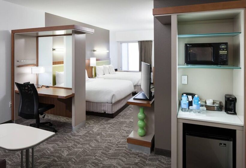 استودیوی استاندارد, Springhill Suites By Marriott Orlando At Seaworld