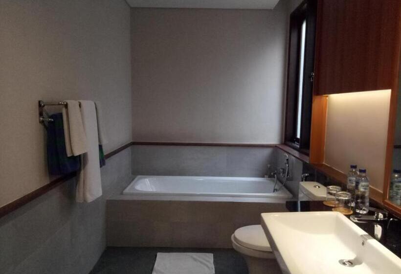 Президентский Люкс, Anahata Villas And Spa Resort