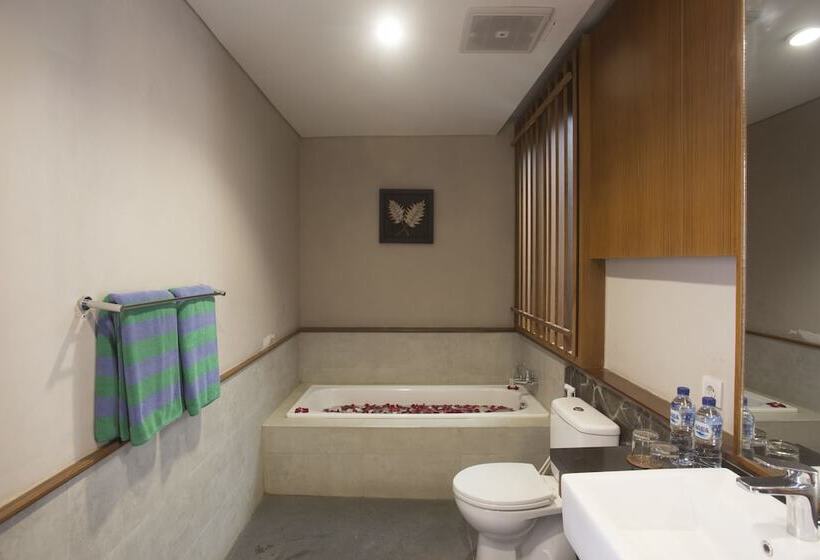 Президентский Люкс, Anahata Villas And Spa Resort