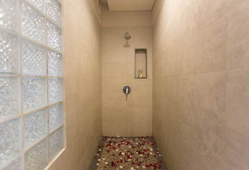 Люкс Премиум, Anahata Villas And Spa Resort