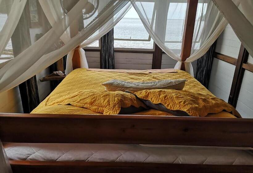 스탠다드 전망 룸, Cafe Del Mar Sapzurro