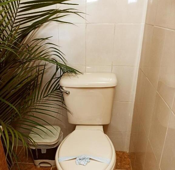 غرفة قياسية, Casa De Los Pájaros   B&b