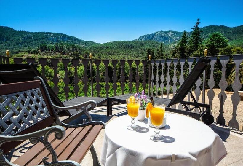 اتاق استاندارد با چشم‌انداز, Agroturismo Son Galceran