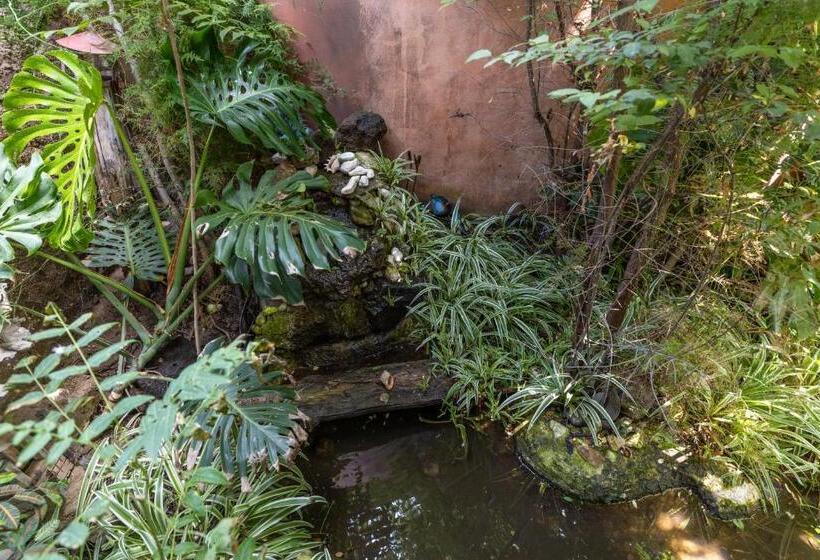 اتاق استاندارد با تخت بزرگ, Il Giardino Di Chiara