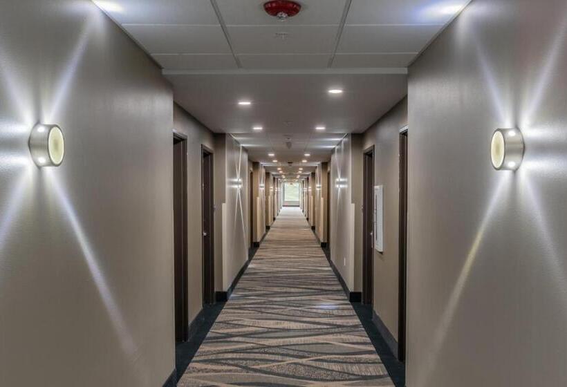 اتاق استاندارد, Best Western Plus Tacoma