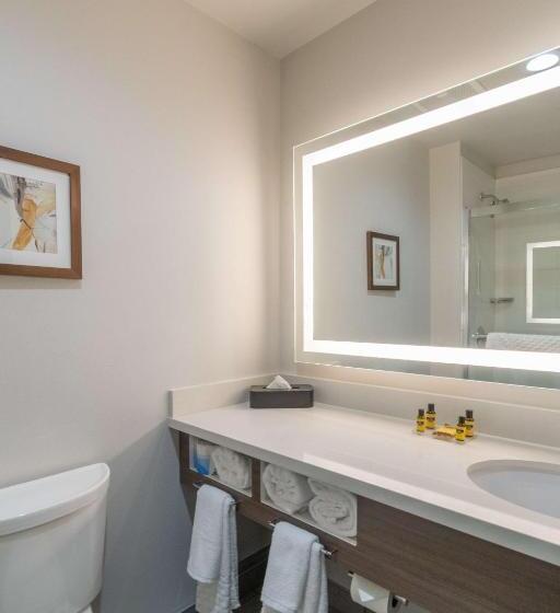 اتاق استاندارد با تخت بزرگ, Best Western Plus Tacoma