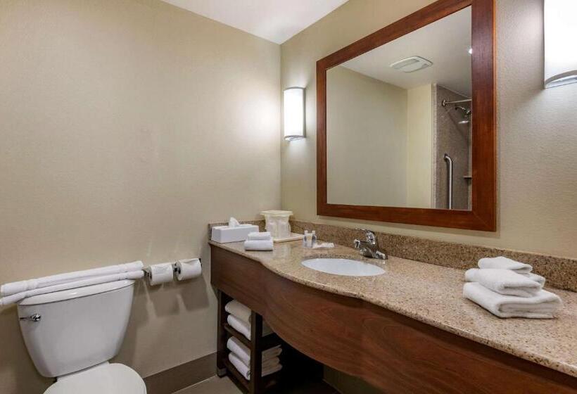 Люкс, Comfort Suites Orlando Airport