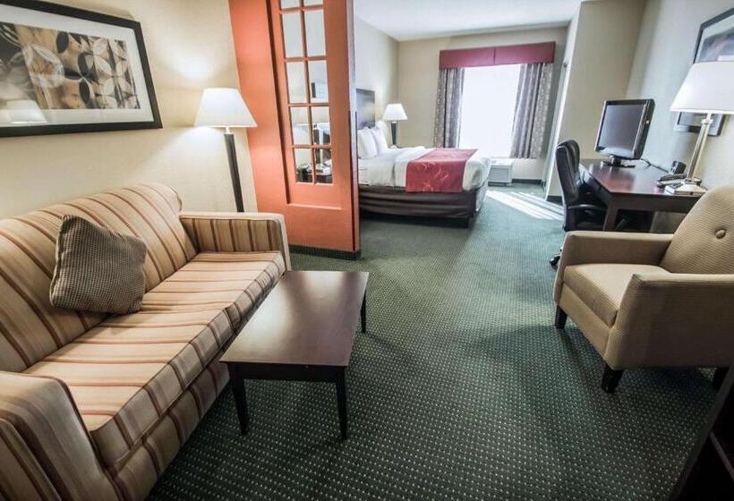 Люкс, Comfort Suites Orlando Airport