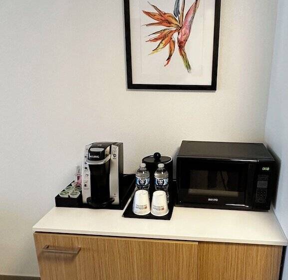 带大床的套房, Hilton Garden Inn Miami Airport West