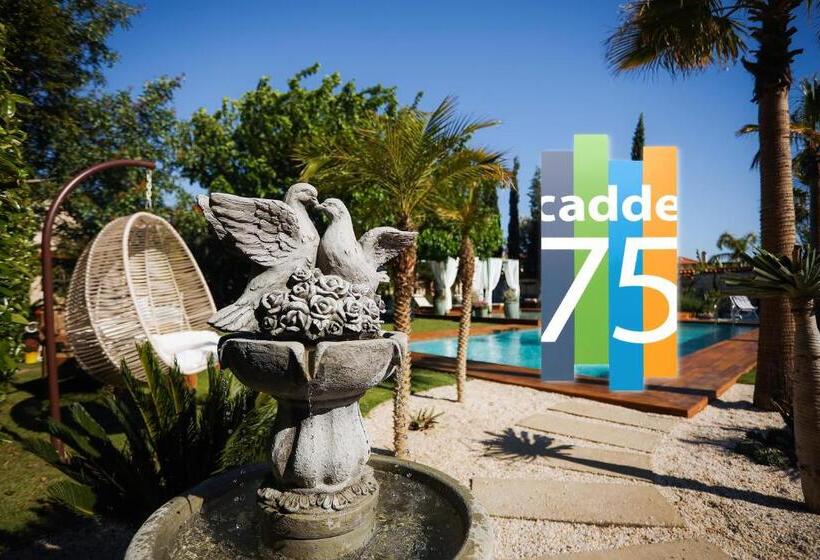 Номер Стандарт, Cadde 75