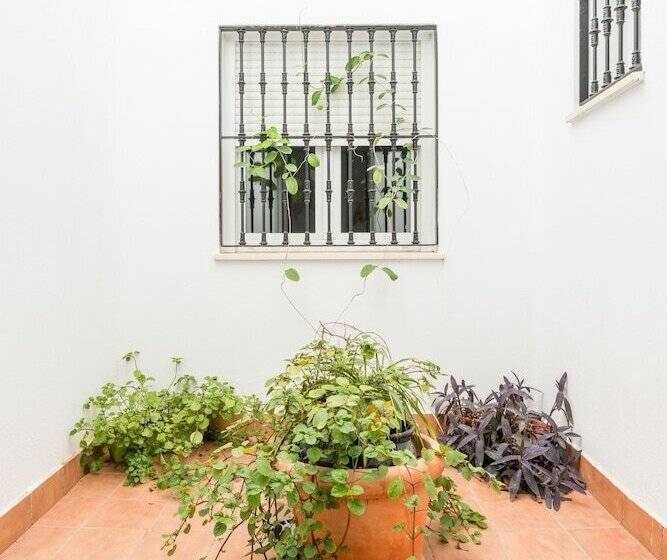 Ekonomik Oda, Cool Sevilla