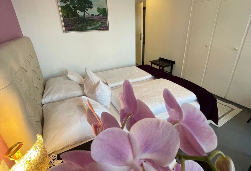 Номер Стандарт, Design Boutique Hotel Vosteen