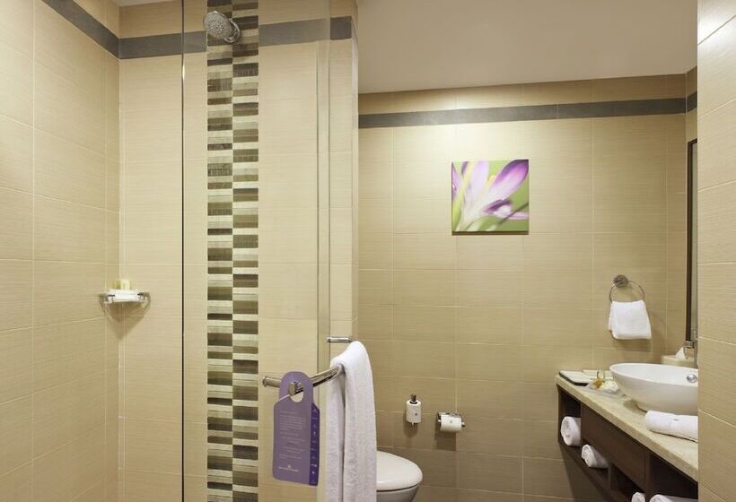 اتاق استاندارد, Hilton Garden Inn New Delhi/saket