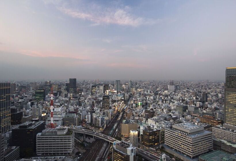 Номер Deluxe, Metropolitan Tokyo Marunouchi